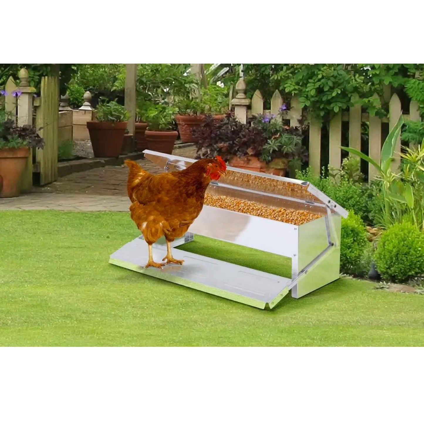8L Automatic Chook Chicken Feeder Poultry Auto Treadle Aluminium Metal Coop - DogsDomain.com.au