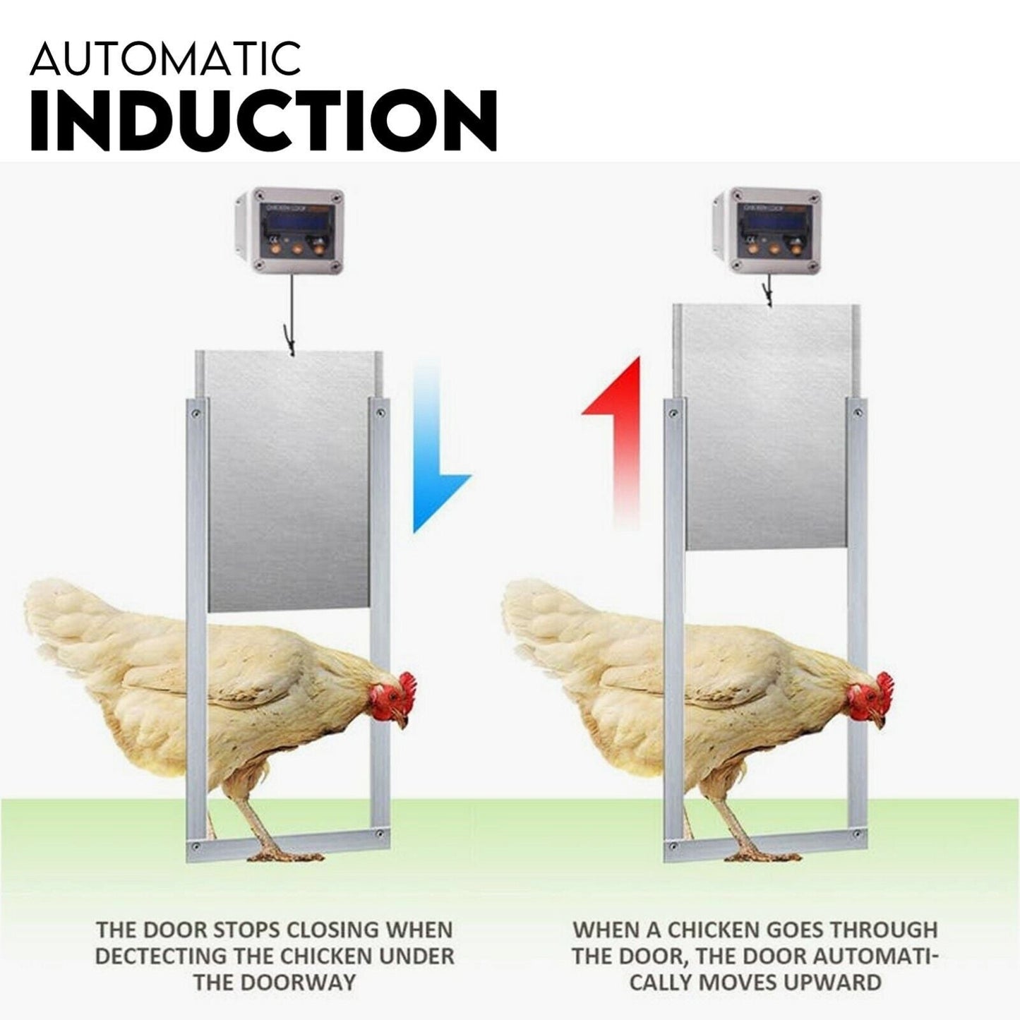 Chicken Coop Door with Digital LCD Screen to manage Timer and Sensor - DogsDomain.com.au