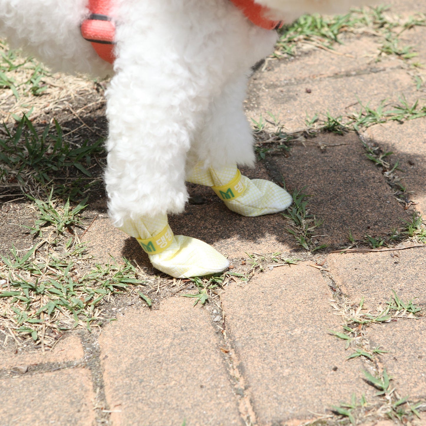 Daeng Daeng Shoes 28pc M Violet Dog Shoes Waterproof Disposable Boots Anti-Slip Socks - DogsDomain.com.au