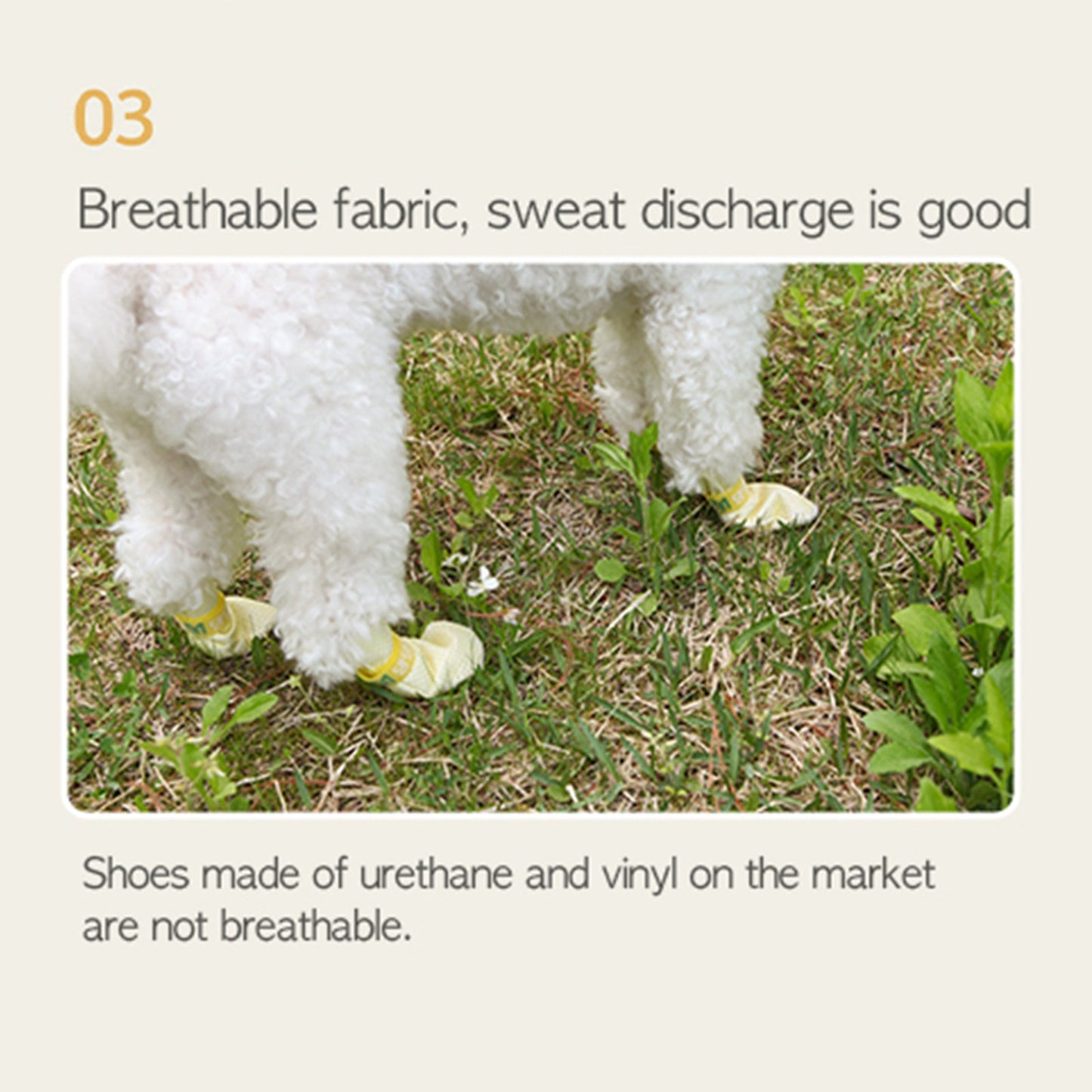 Daeng Daeng Shoes 28pc M Violet Dog Shoes Waterproof Disposable Boots Anti-Slip Socks - DogsDomain.com.au