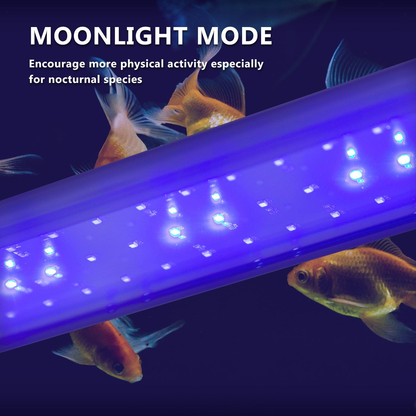 Dynamic Power 2 Set 18W Aquarium Blue White LED Light for Tank 75-95cm - DogsDomain.com.au