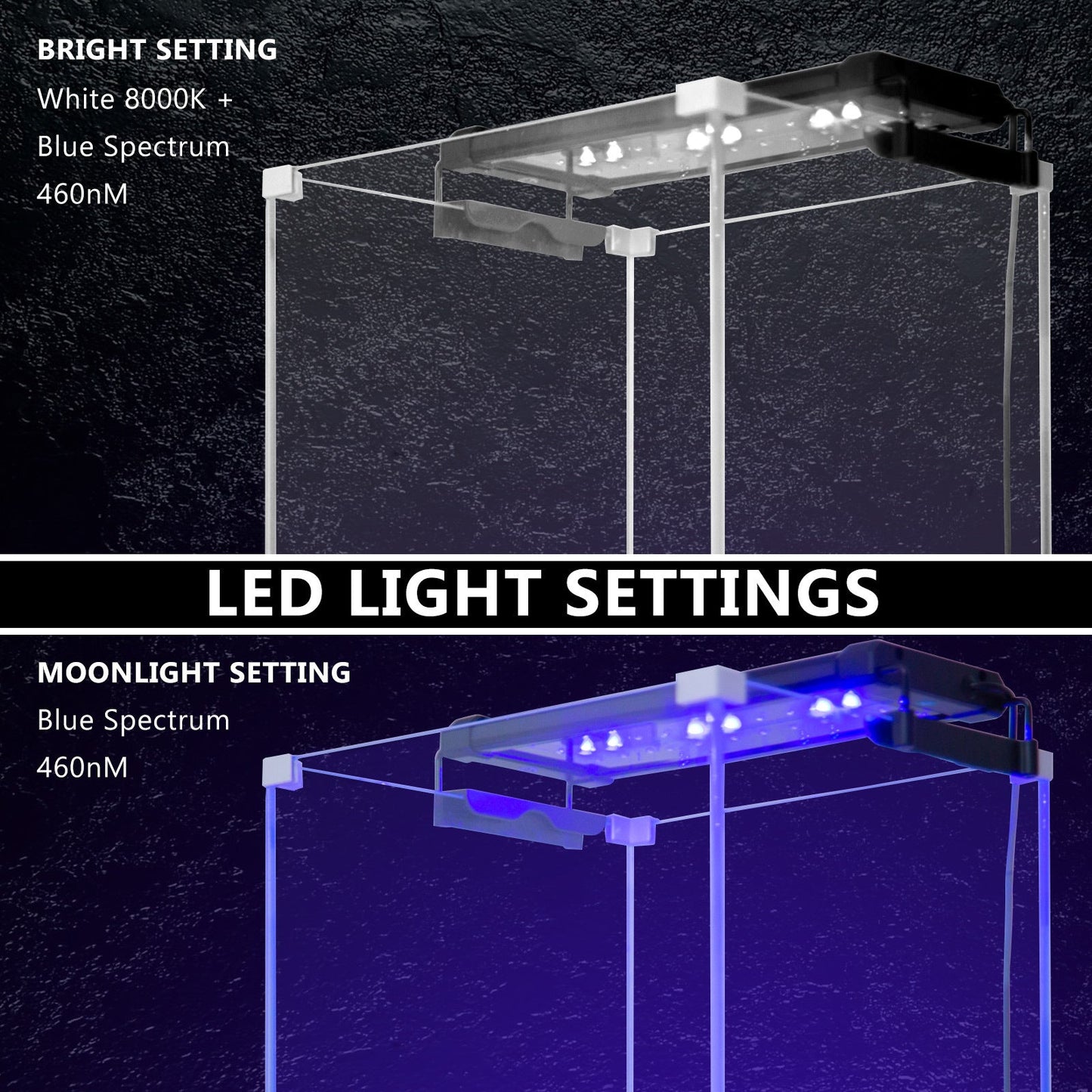 Dynamic Power 6W Aquarium Blue White LED Light for Tank 30-50cm - DogsDomain.com.au