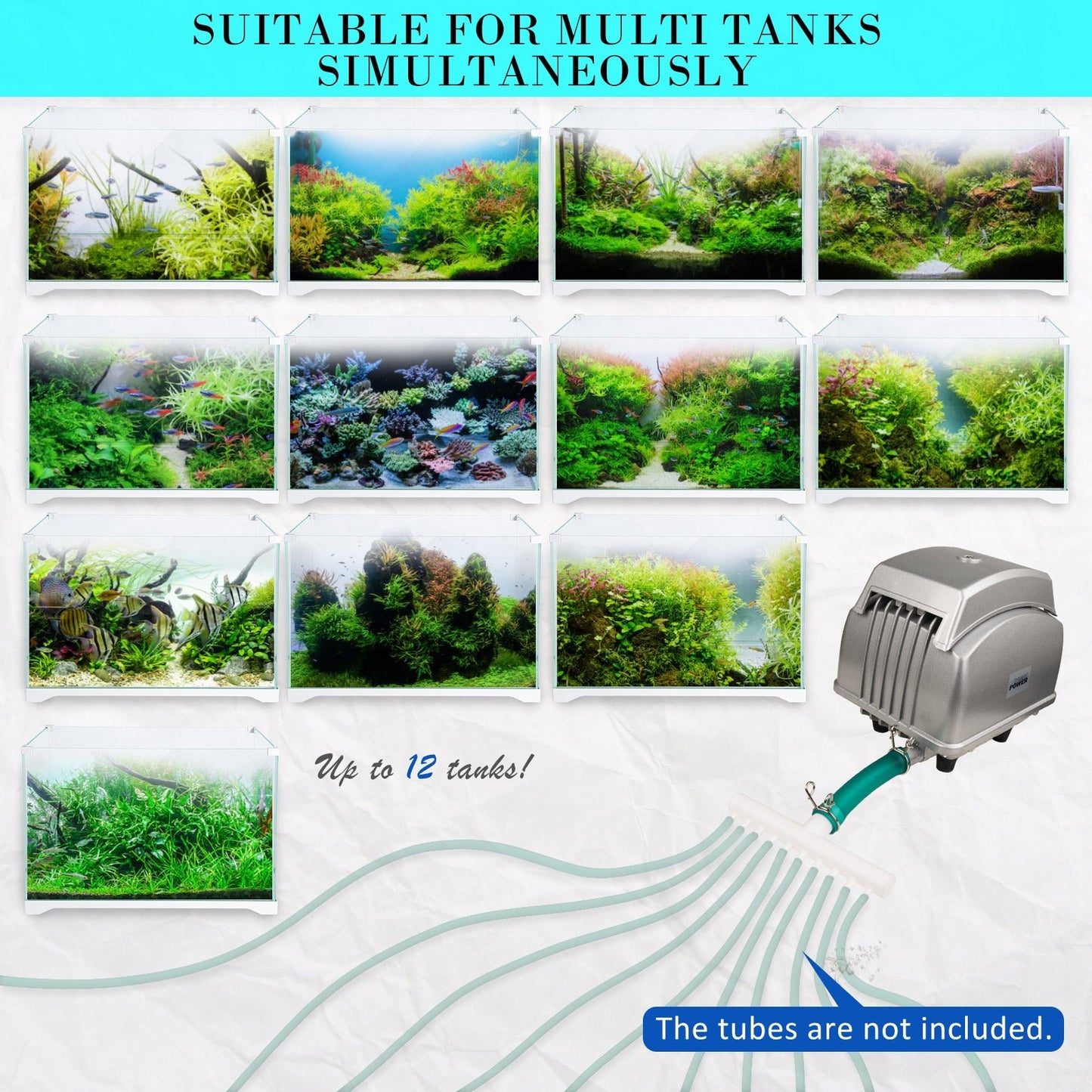 Dynamic Power Aquarium Air Pump Oxygen Hydroponic 12 Outlet 4500L/H 65W - DogsDomain.com.au