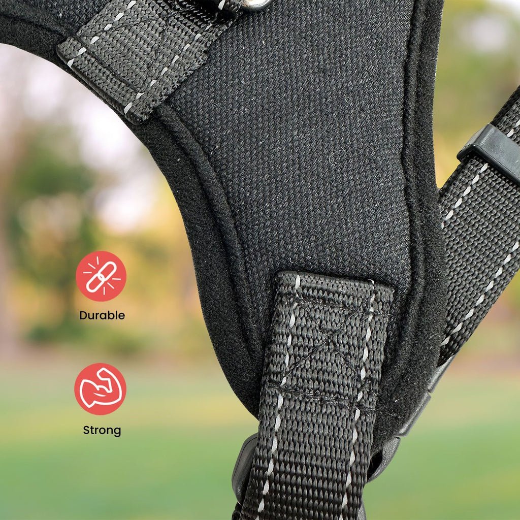FLOOFI Dog Harness XL Size (Black) - DogsDomain.com.au