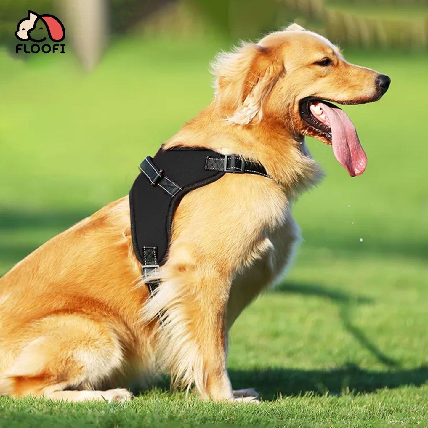 FLOOFI Dog Harness XXL Size (Black) FI-PC-165-XL - DogsDomain.com.au