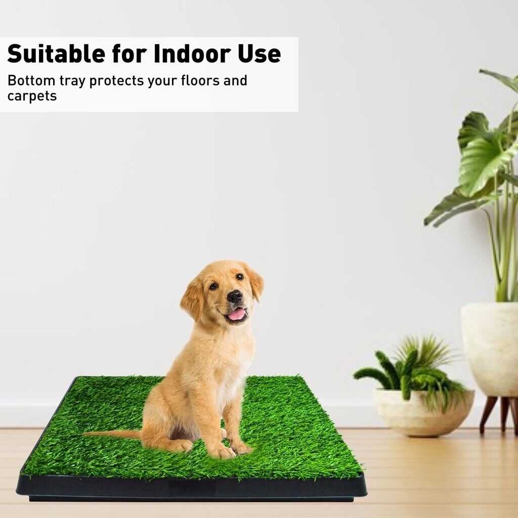 Floofi Pet Grass Training Potty 2 Piece Set FI-LM-111-FE - DogsDomain.com.au