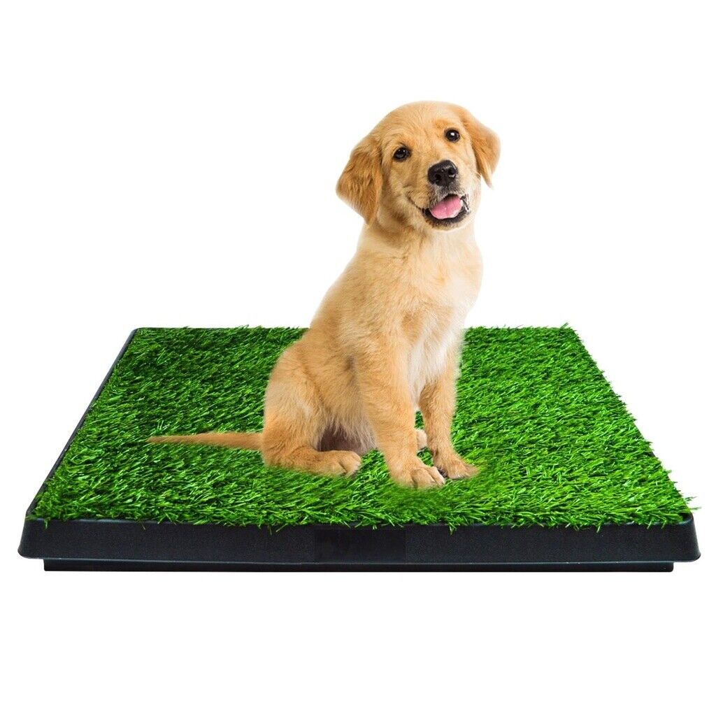 Floofi Pet Grass Training Potty 2 Piece Set FI-LM-111-FE - DogsDomain.com.au