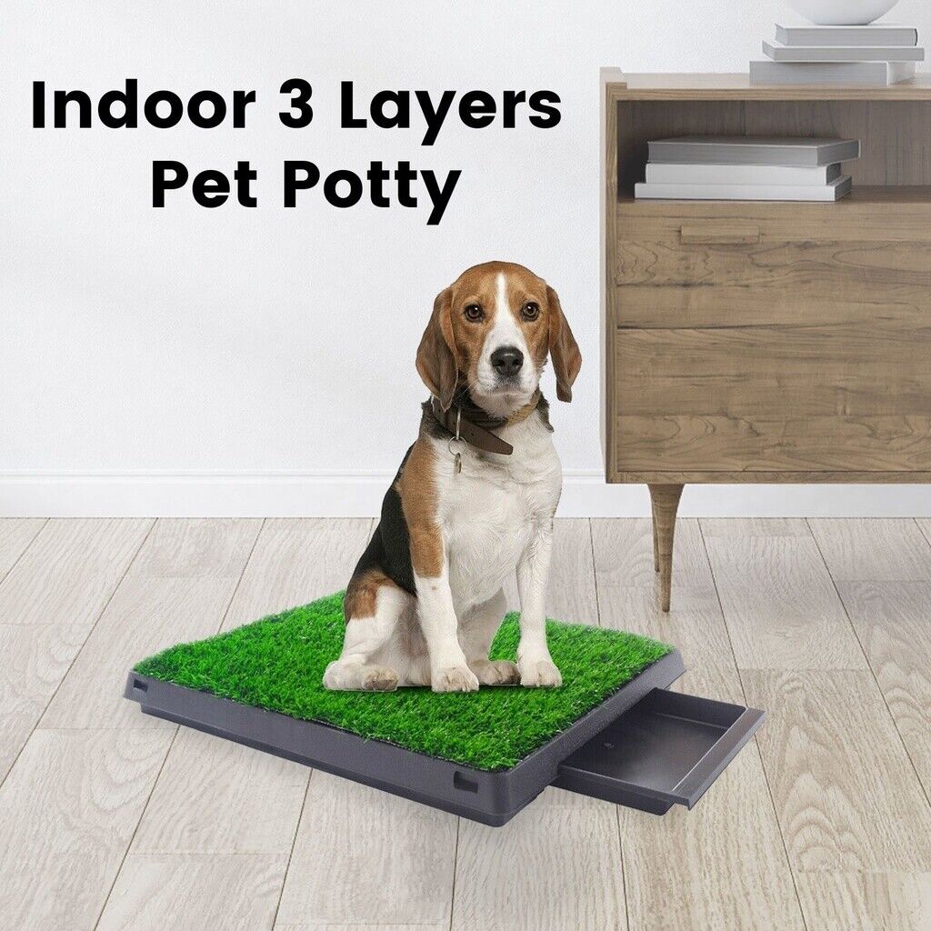 Floofi Pet Grass Training Potty 2 Piece Set FI-LM-111-FE - DogsDomain.com.au