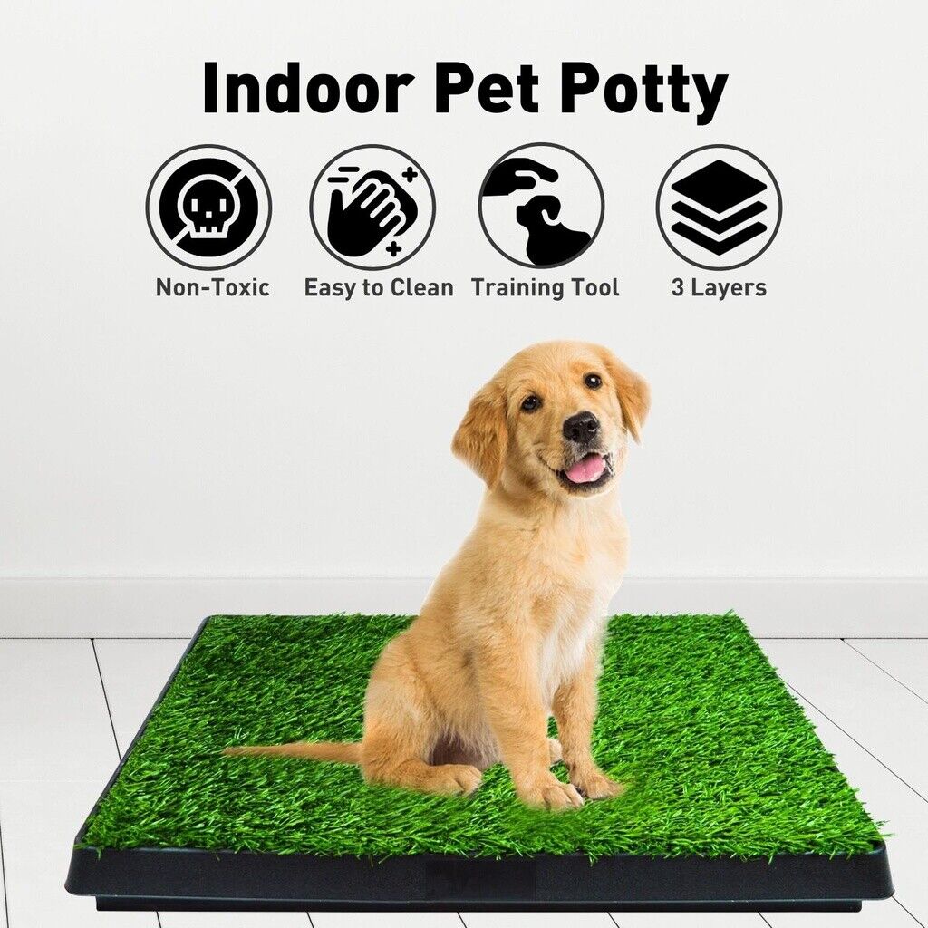 Floofi Pet Grass Training Potty 2 Piece Set FI-LM-111-FE - DogsDomain.com.au