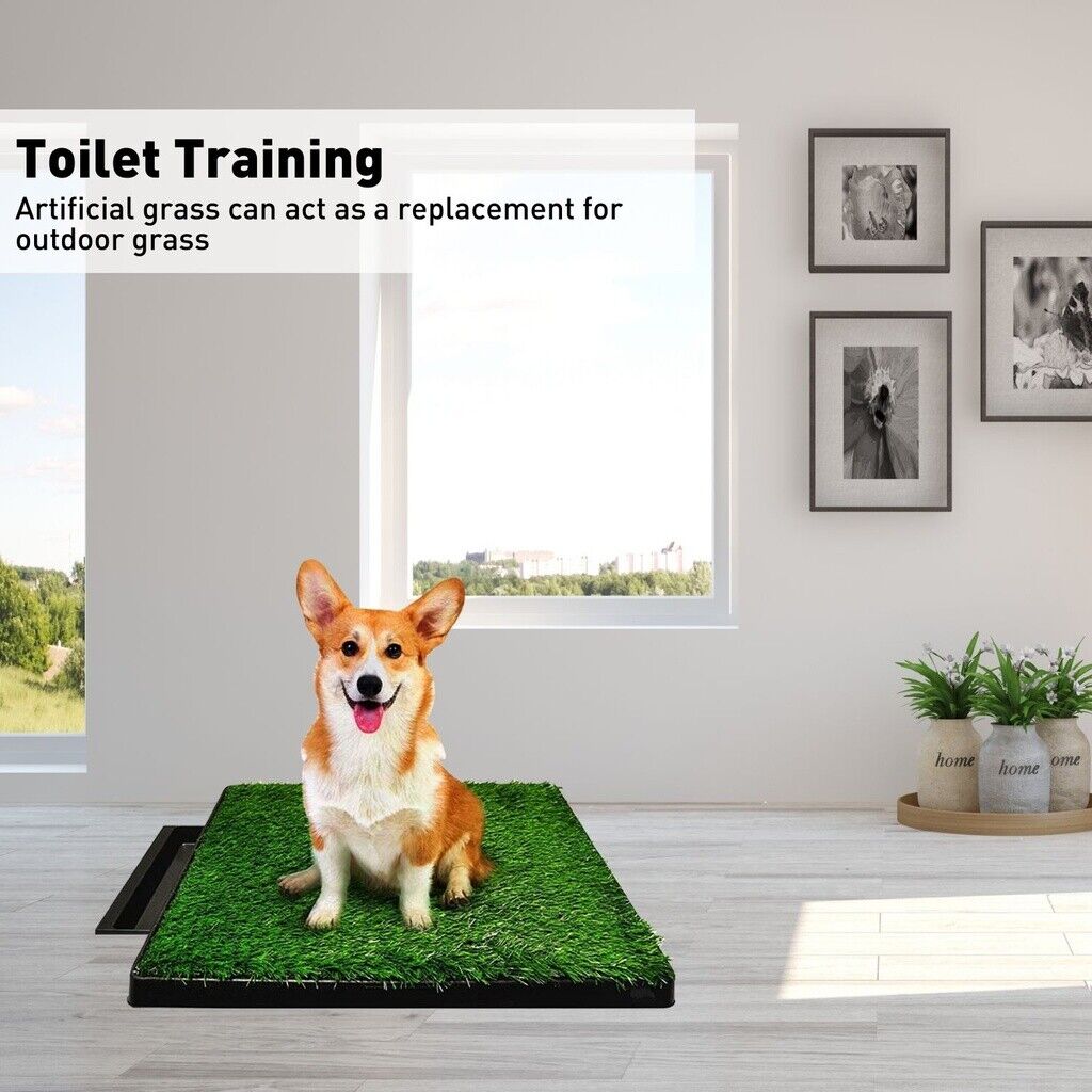 Floofi Pet Grass Training Potty 2 Piece Set FI-LM-111-FE - DogsDomain.com.au