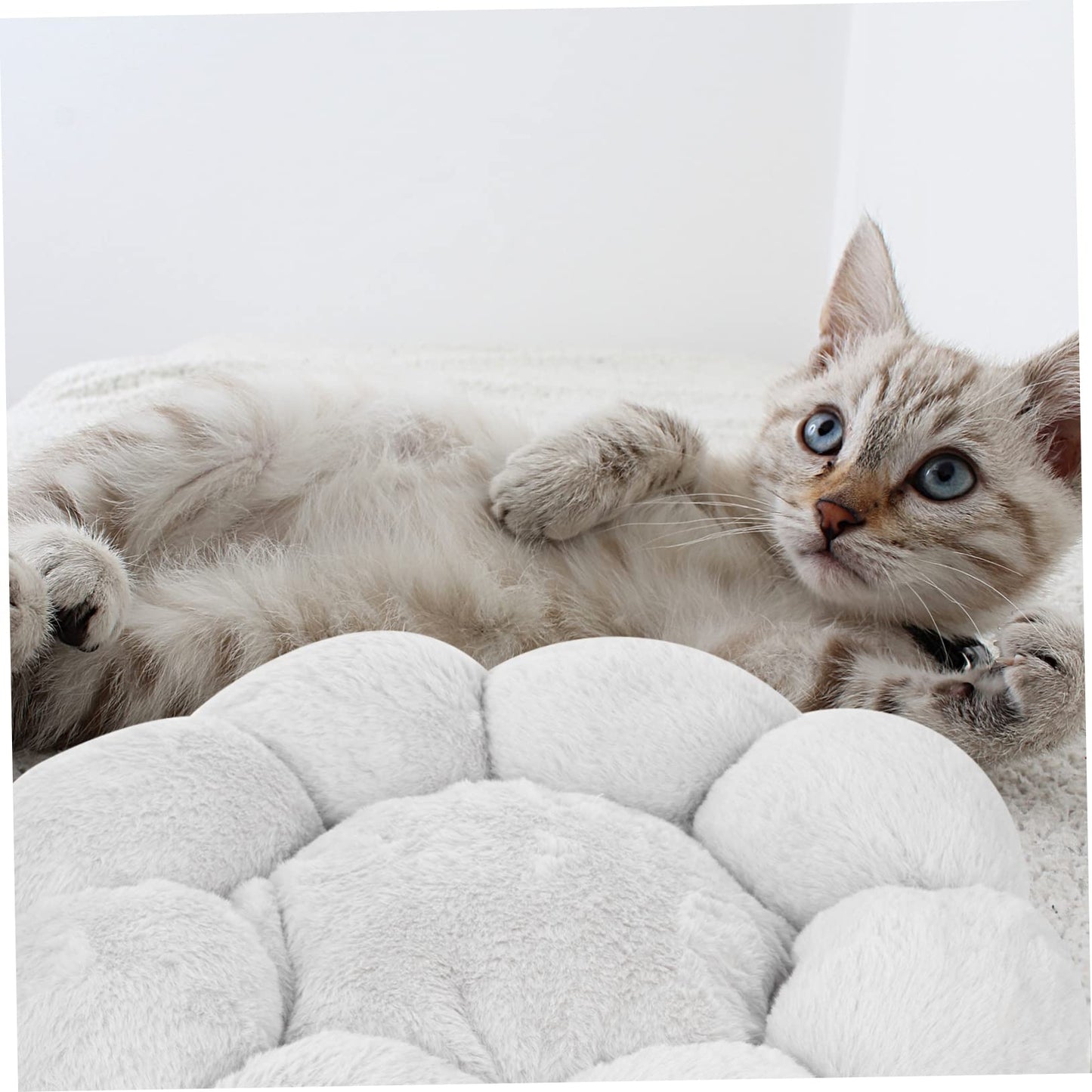 Hopet Small Flower Bag Cat Dog Bed Dog House Pet Puppy Kitten Sleepping Bed Sofa - DogsDomain.com.au