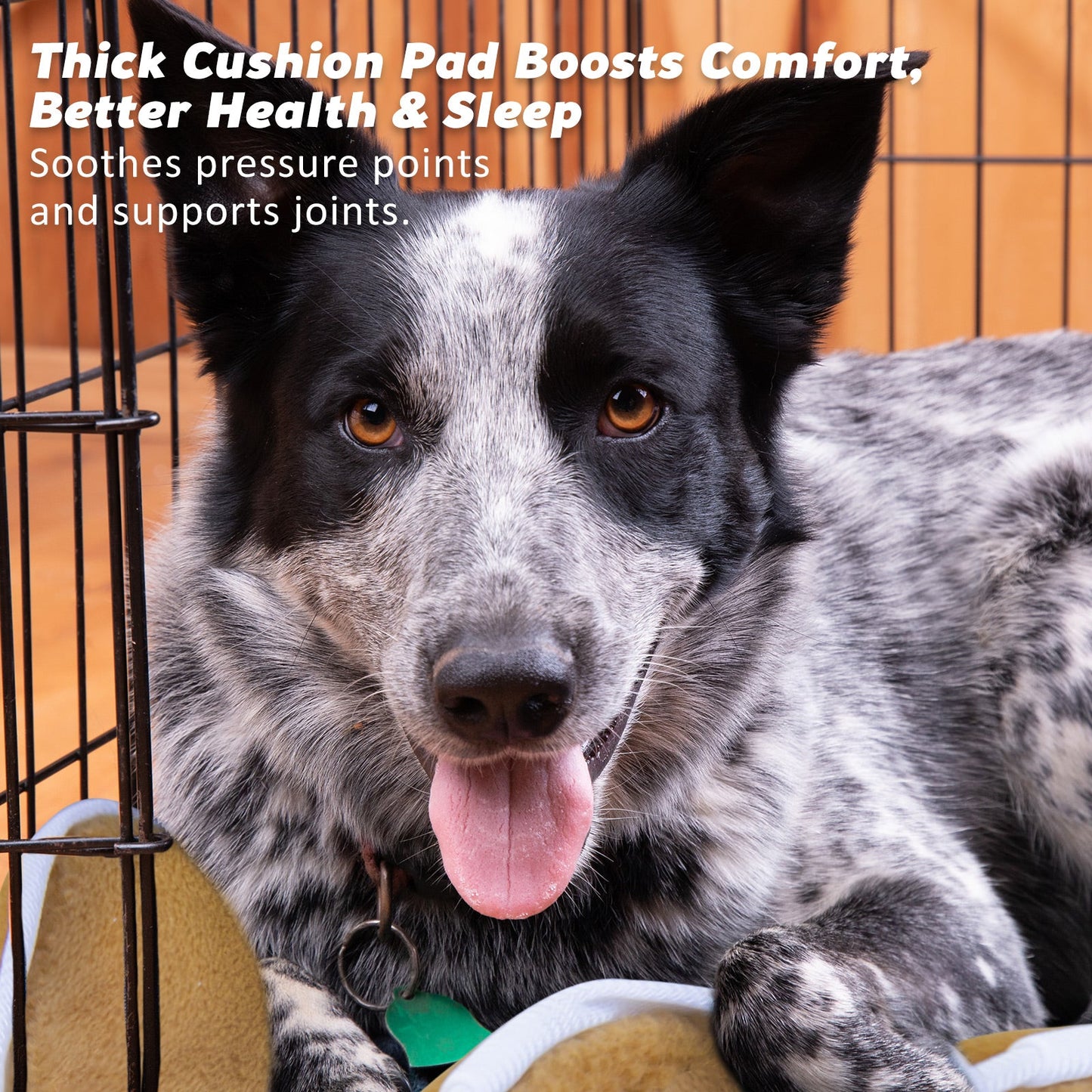 Paw Mate Wire Dog Cage Crate 24in with Tray + Cushion Mat + Blue Cover Combo - DogsDomain.com.au
