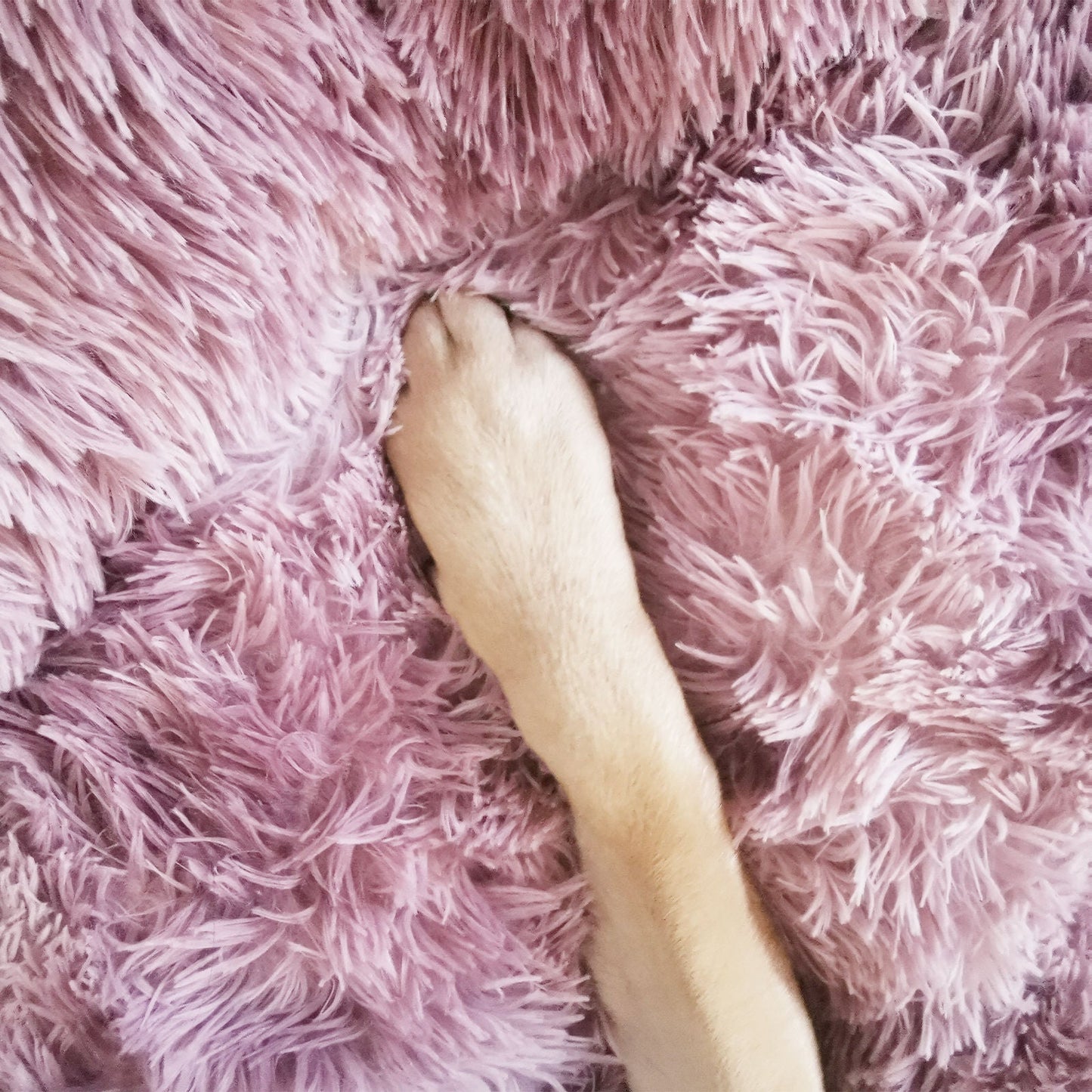 Pawfriends Dog Pet Cat Calming Bed Beds Large Mat Comfy Puppy Fluffy Donut Cushion Plush 70 - DogsDomain.com.au
