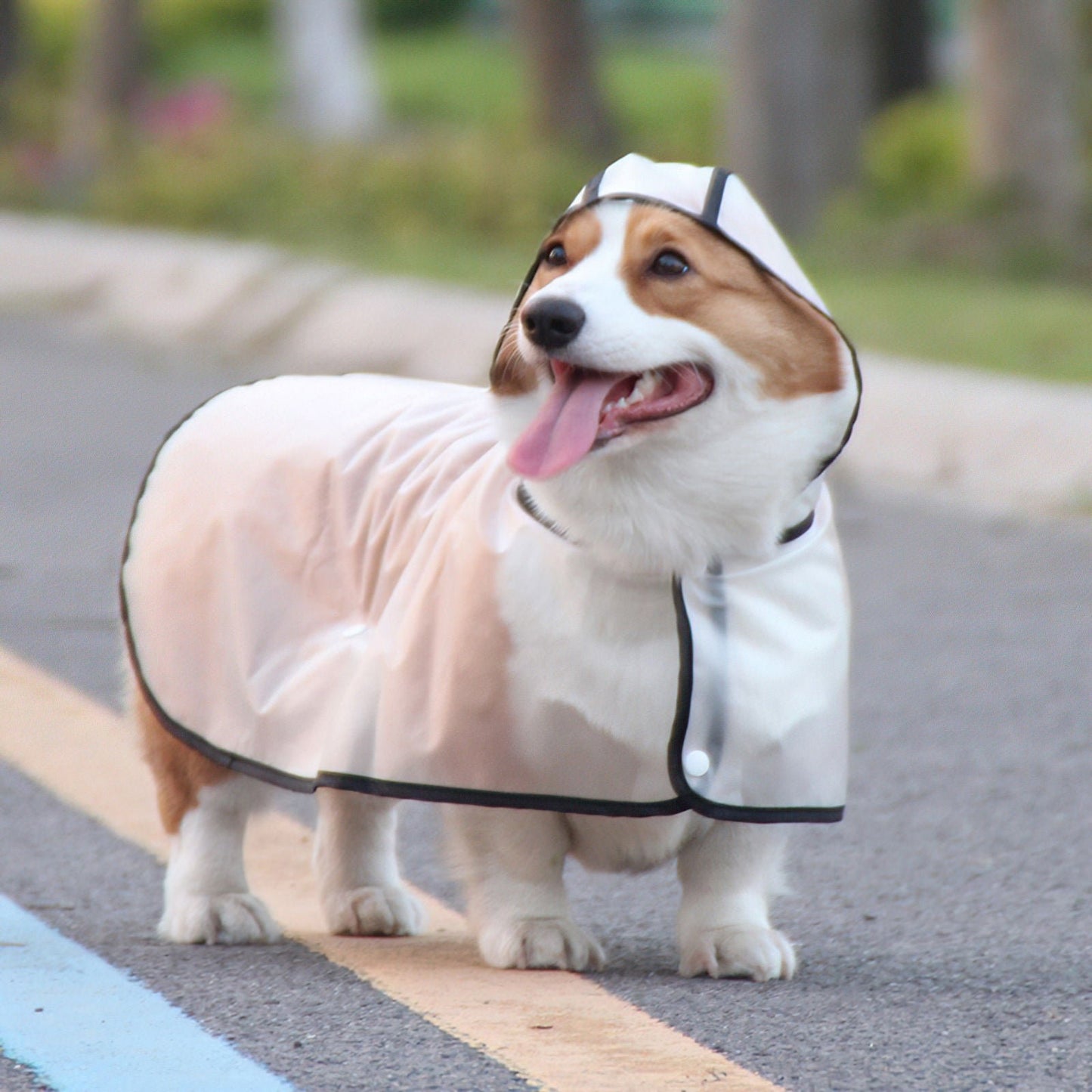 Pawfriends TPU Transparent Pet Cape Raincoat Large Dog Teddy Fado Koki Dog Clothing XXXL - DogsDomain.com.au