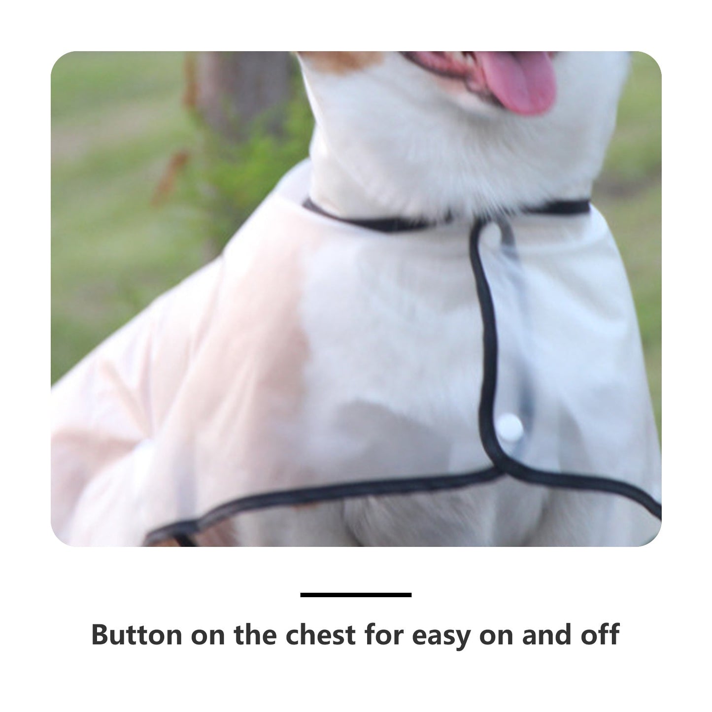 Pawfriends TPU Transparent Pet Cape Raincoat Large Dog Teddy Fado Koki Dog Clothing XXXL - DogsDomain.com.au