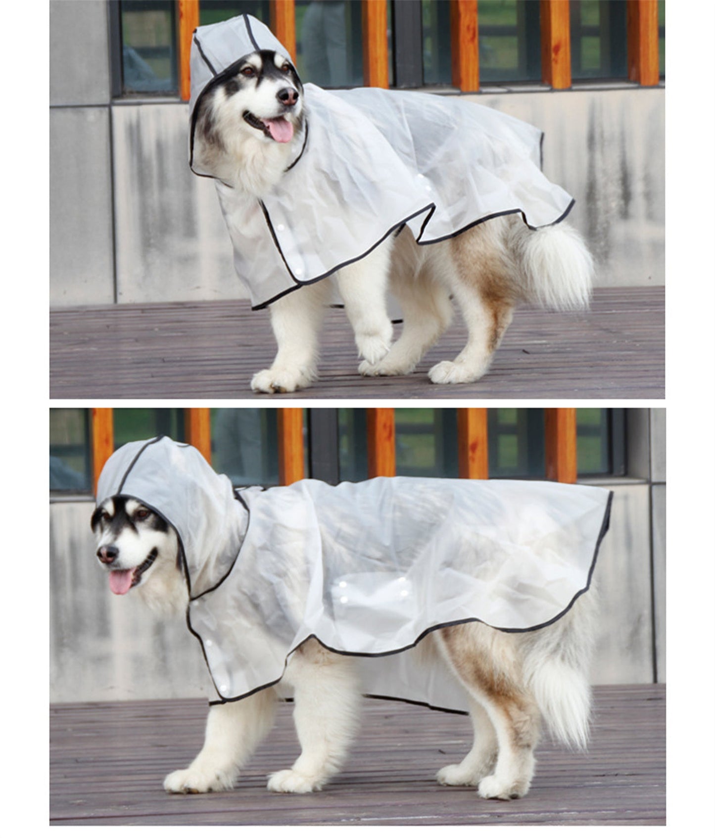 Pawfriends TPU Transparent Pet Cape Raincoat Large Dog Teddy Fado Koki Dog Clothing XXXL - DogsDomain.com.au