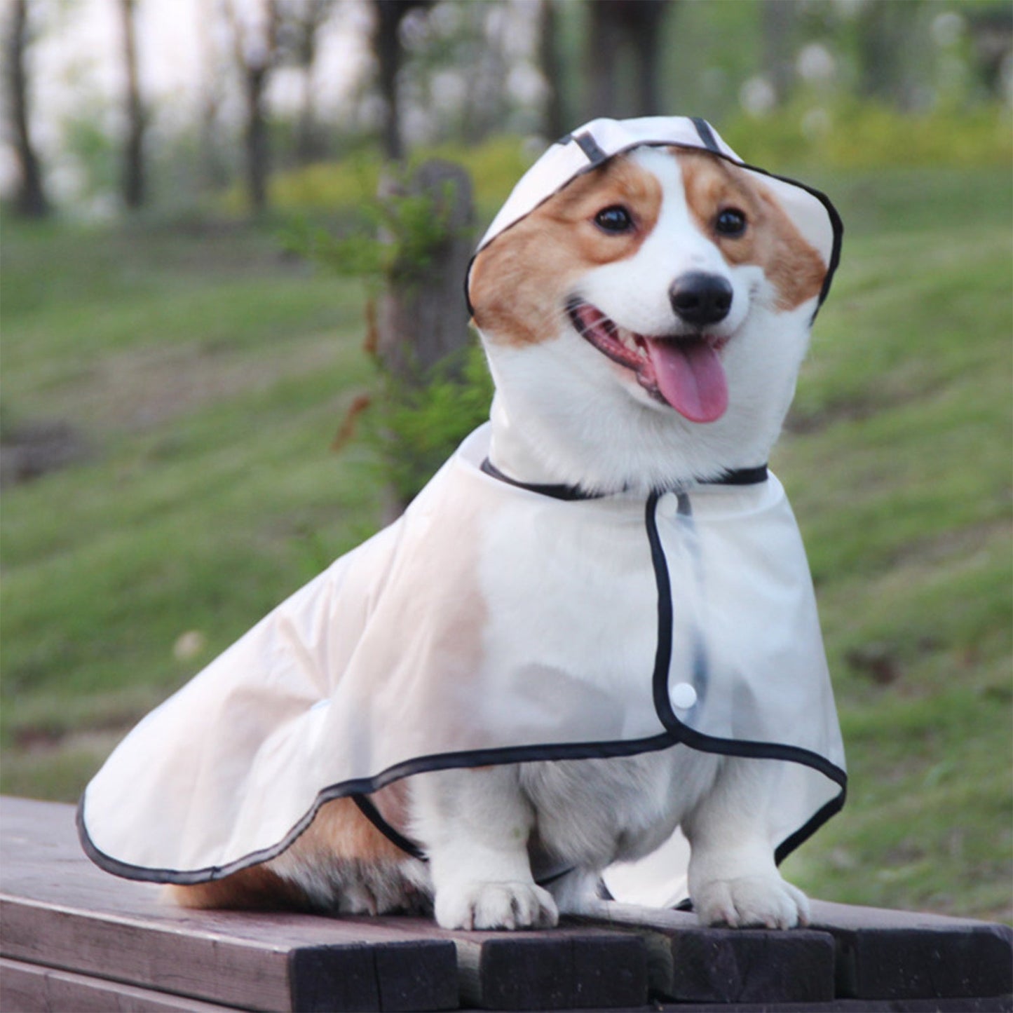 Pawfriends TPU Transparent Pet Cape Raincoat Large Dog Teddy Fado Koki Dog Clothing XXXL - DogsDomain.com.au