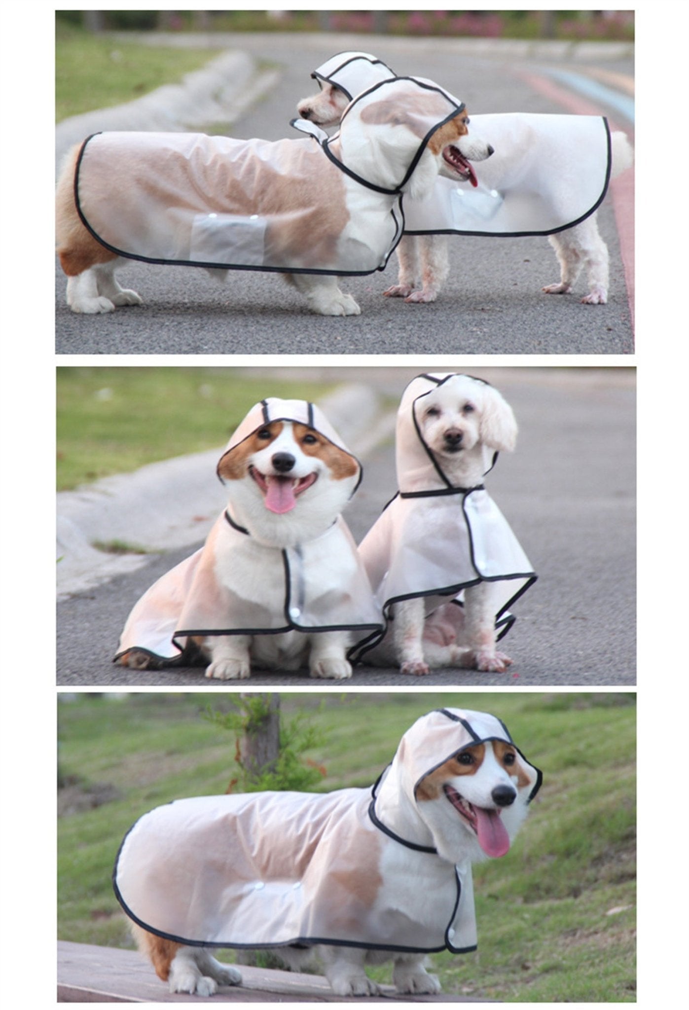 Pawfriends TPU Transparent Pet Cape Raincoat Large Dog Teddy Fado Koki Dog Clothing XXXL - DogsDomain.com.au