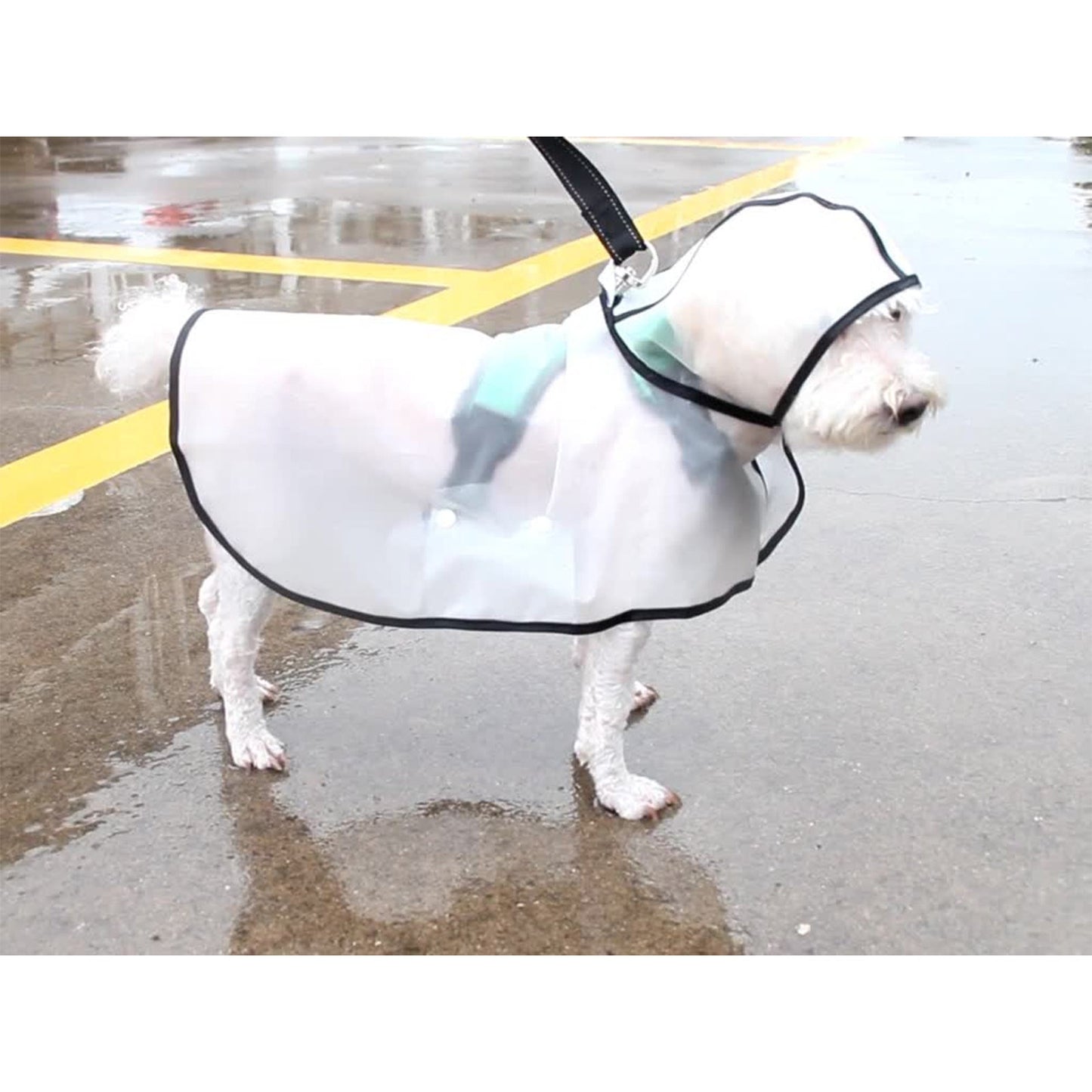 Pawfriends TPU Transparent Pet Cape Raincoat Large Dog Teddy Fado Koki Dog Clothing XXXL - DogsDomain.com.au