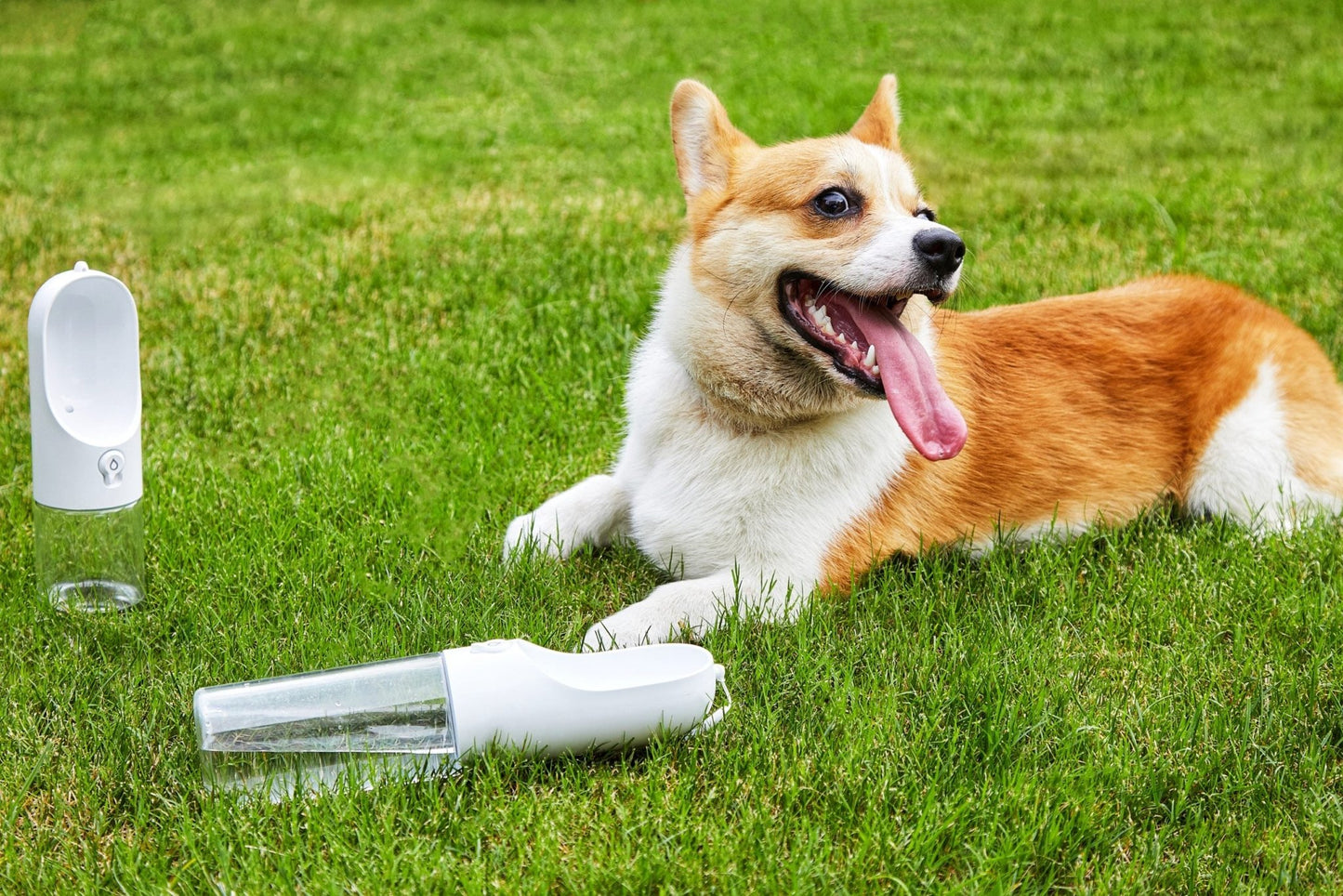 PETKIT Eversweet Travel Water Bottle - White 300Ml - DogsDomain.com.au