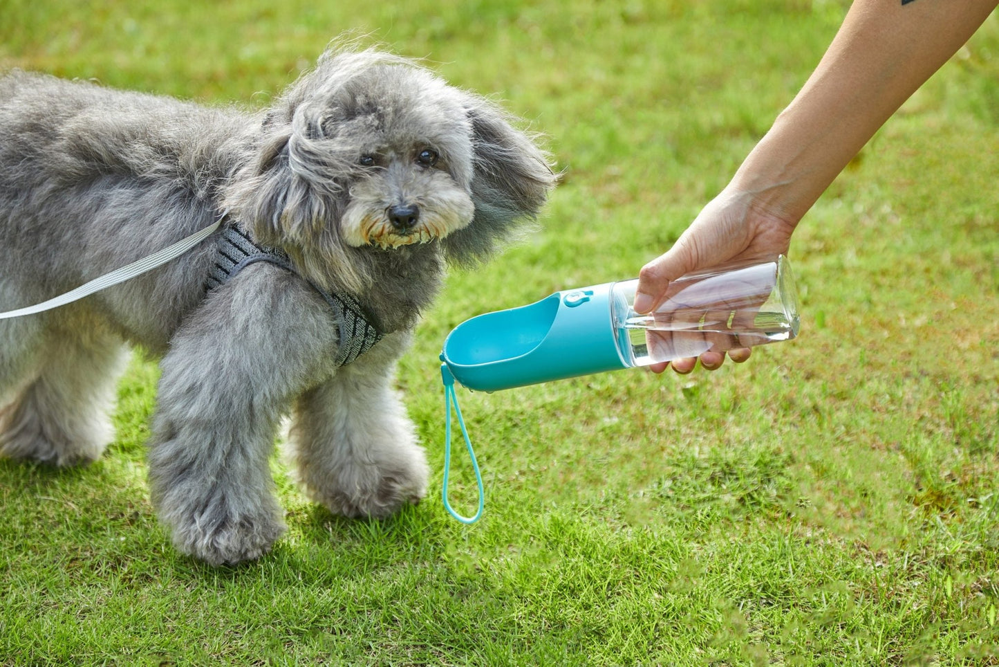 PETKIT Pet Bottle 400ml - Blue - DogsDomain.com.au