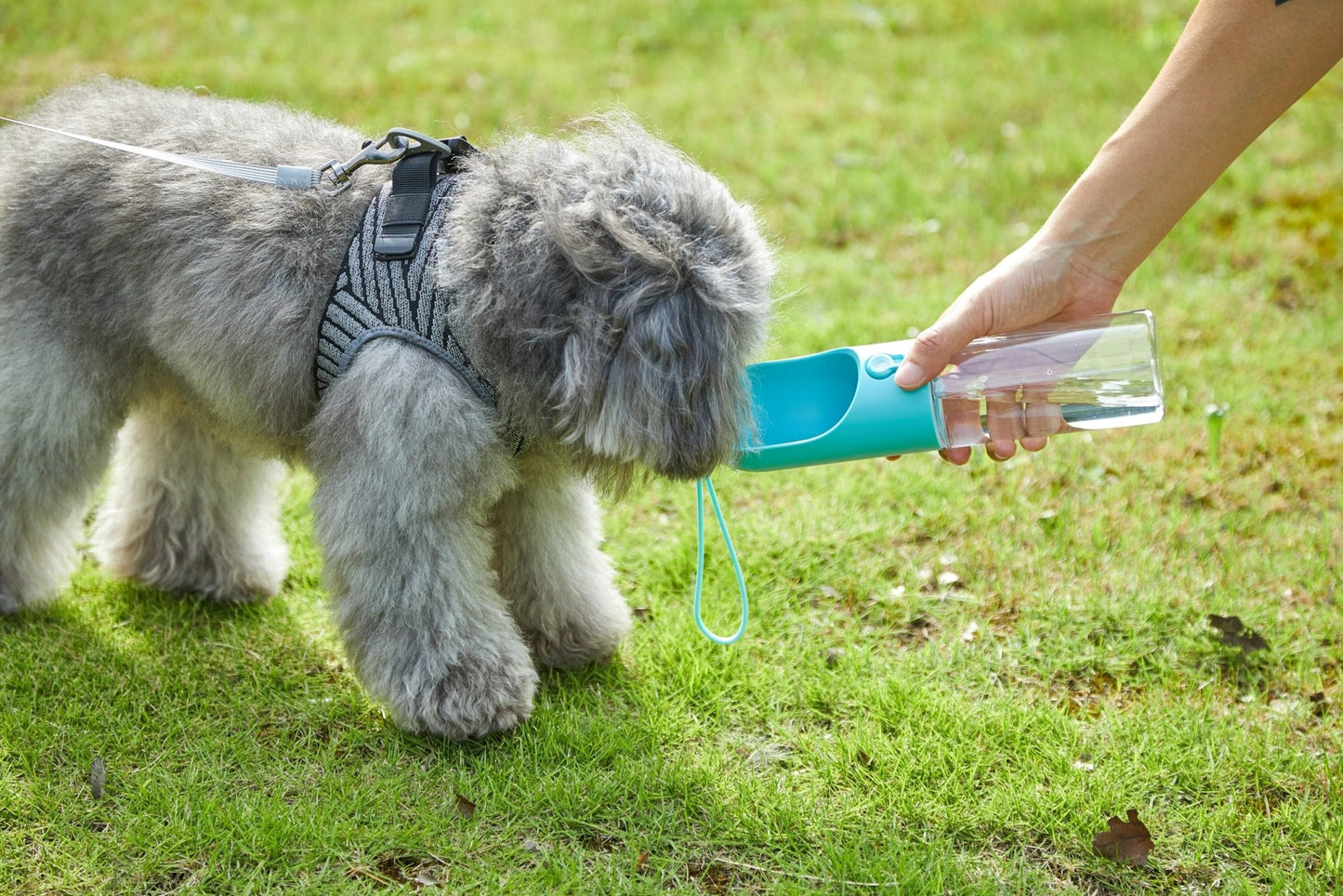 PETKIT Pet Bottle 400ml - Blue - DogsDomain.com.au