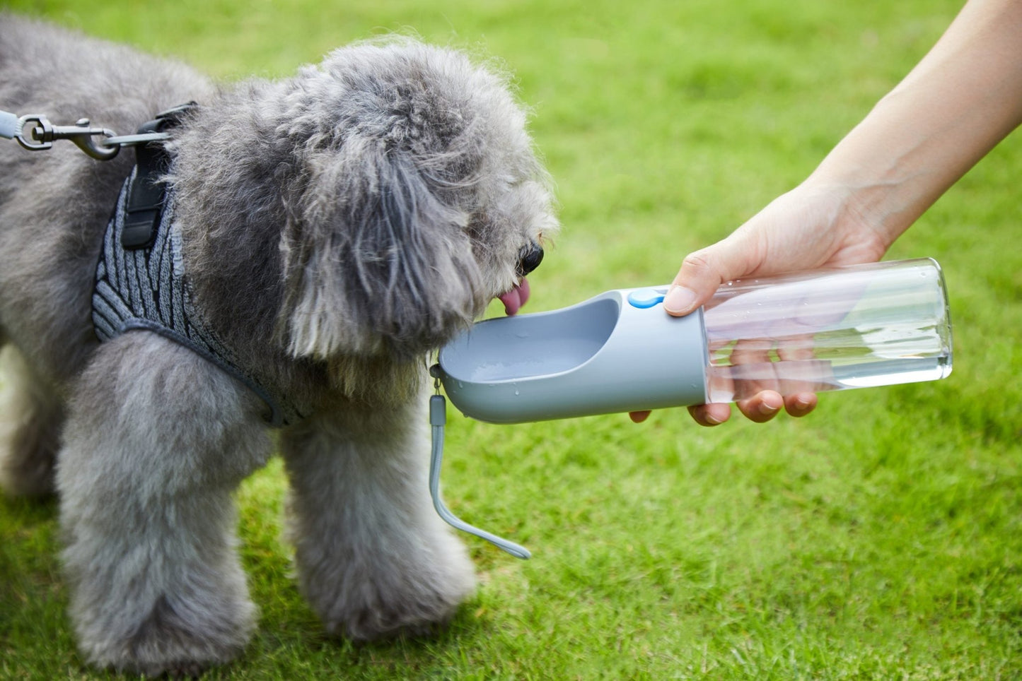 PETKIT Pet Bottle 400ml - Grey - DogsDomain.com.au