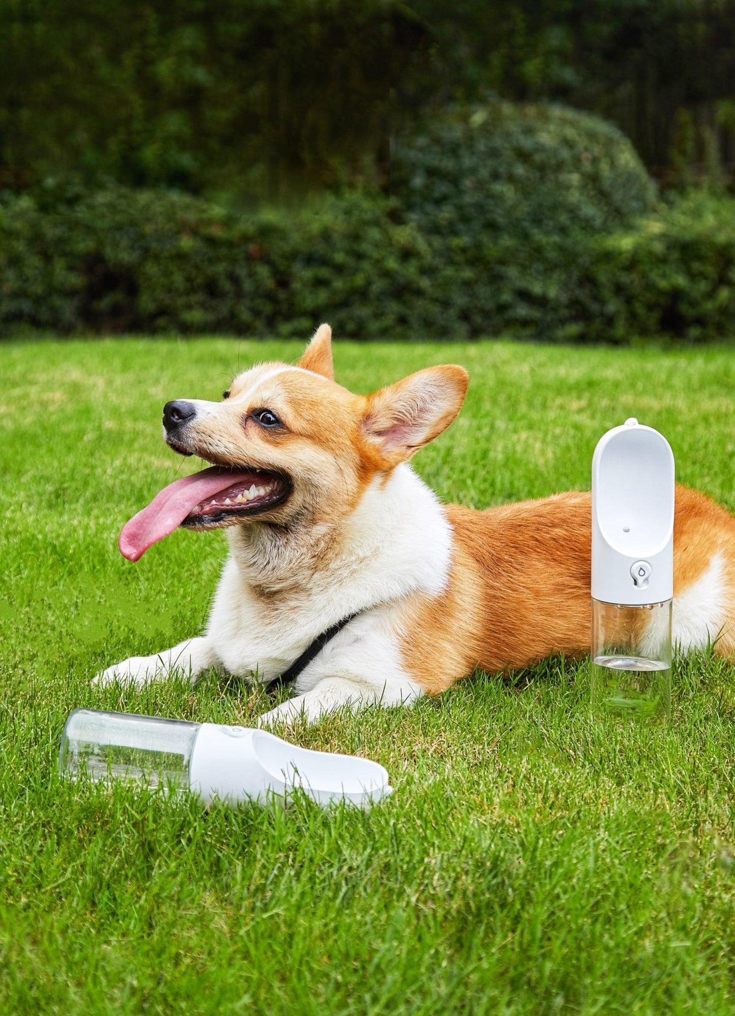 PETKIT Pet Bottle 400ml - White - DogsDomain.com.au