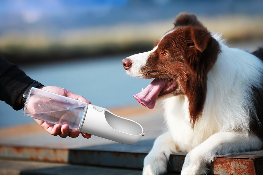 PETKIT Pet Bottle 400ml - White - DogsDomain.com.au