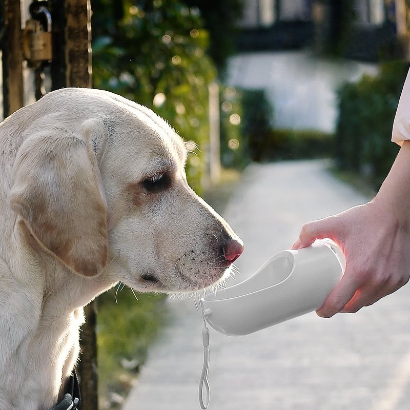 PETKIT Pet Bottle 400ml - White - DogsDomain.com.au