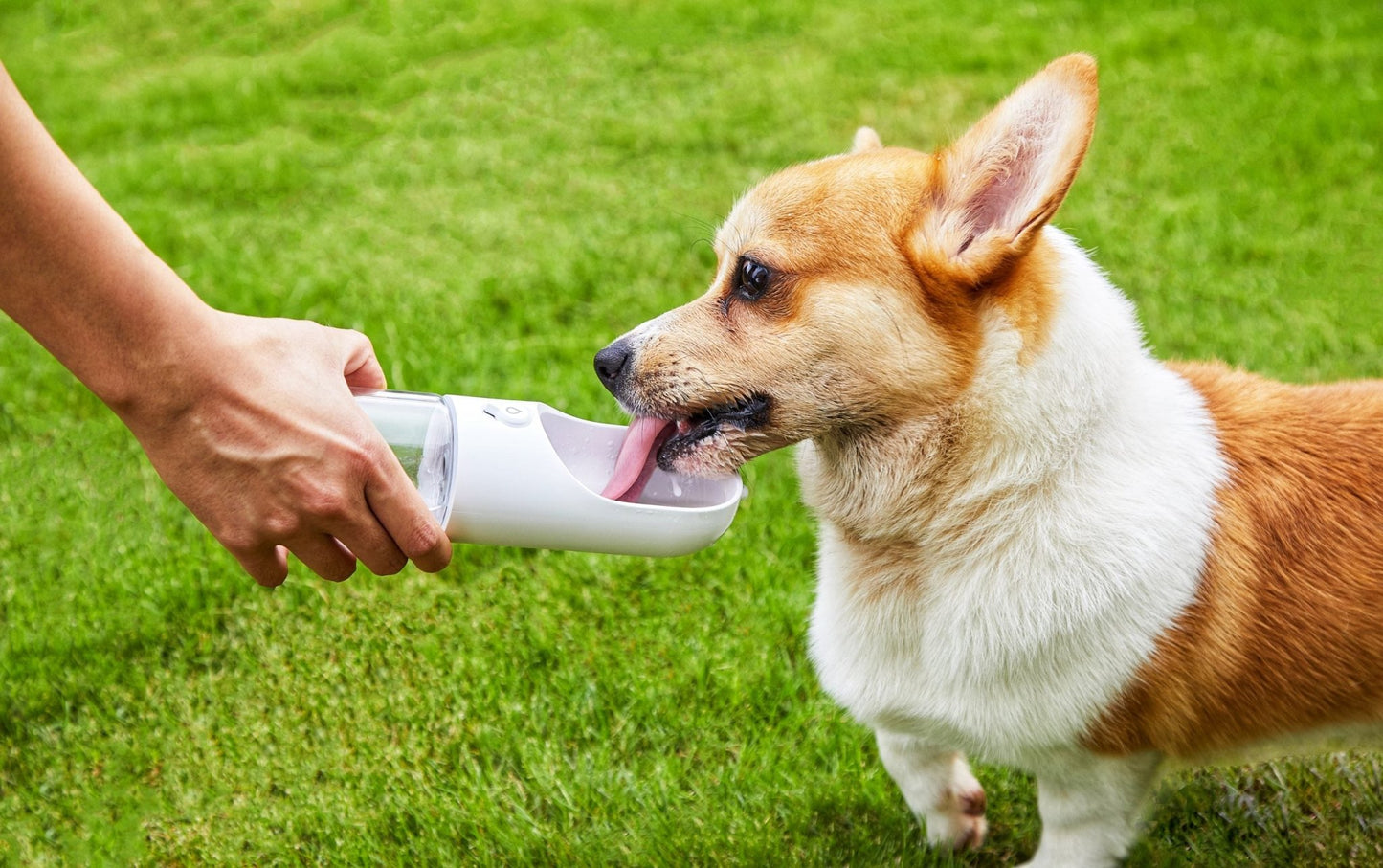 PETKIT Pet Bottle 400ml - White - DogsDomain.com.au