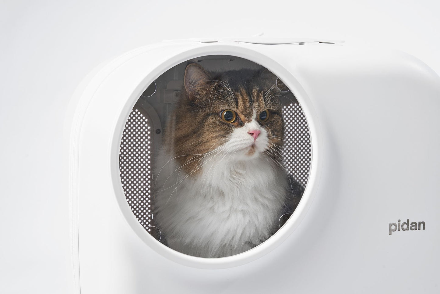 PIDAN Wheeled Pet Carrier Ventilation Type - DogsDomain.com.au