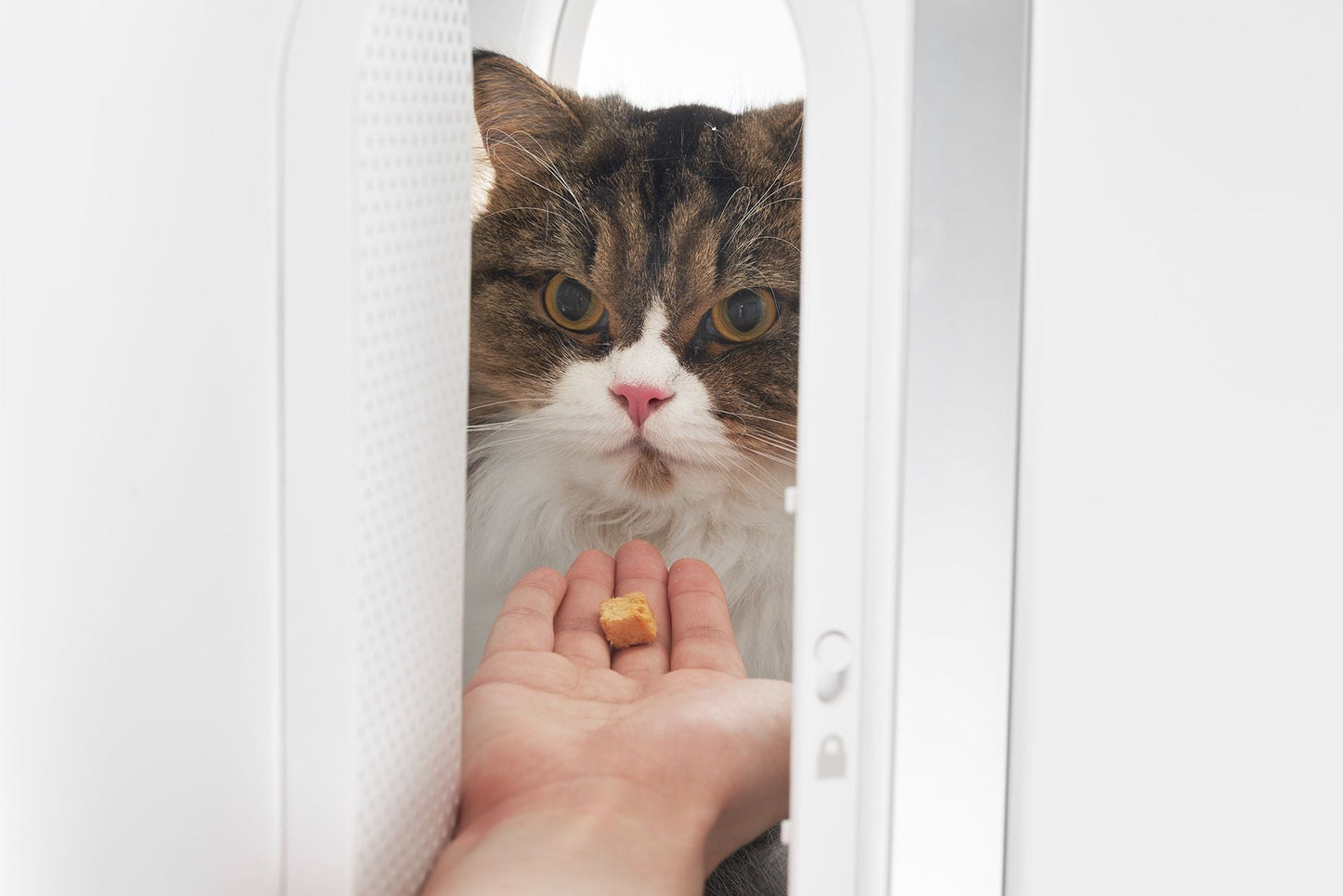 PIDAN Wheeled Pet Carrier Ventilation Type - DogsDomain.com.au