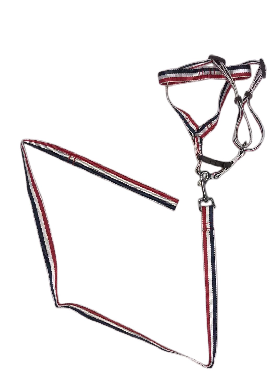 YES4PETS 2 X Large Pet Dog Harness Collar leash lead - DogsDomain.com.au