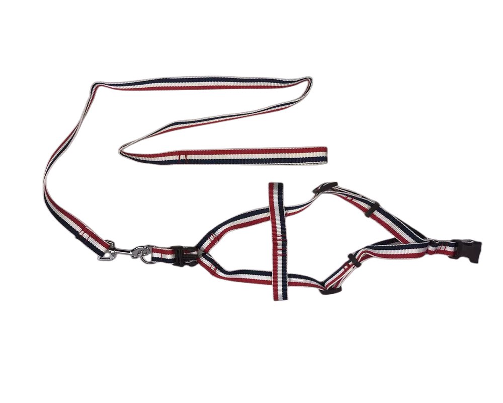 YES4PETS 2 X Large Pet Dog Harness Collar leash lead - DogsDomain.com.au