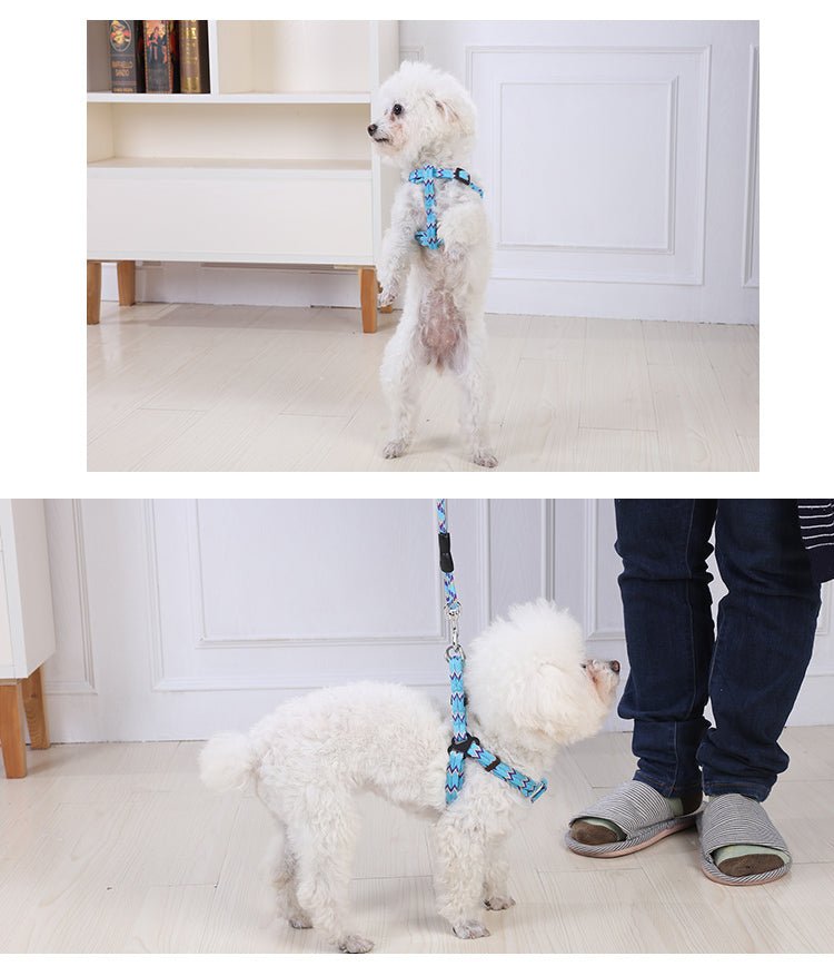 YES4PETS 2 X Medium Pet Dog Cat Puppy Kitten Rabbit Dog Harness Collar leash lead 5 Color - DogsDomain.com.au