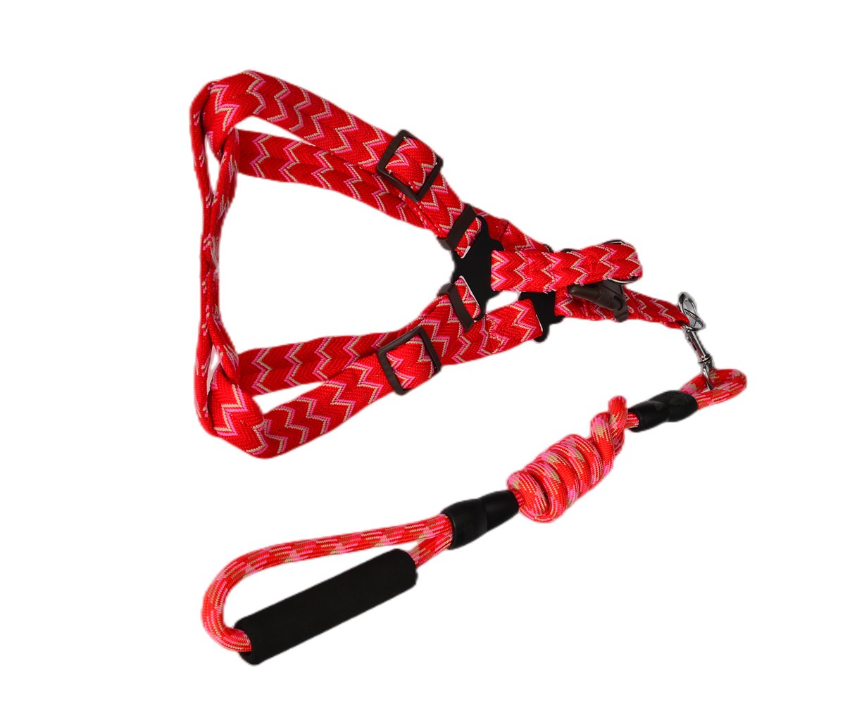 YES4PETS 2 X Medium Pet Dog Cat Puppy Kitten Rabbit Dog Harness Collar leash lead 5 Color - DogsDomain.com.au