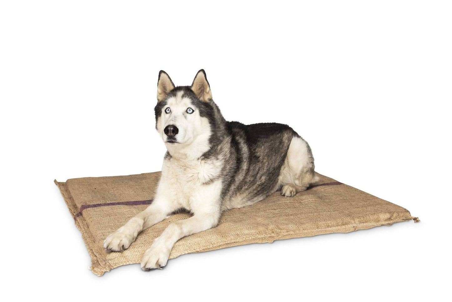 YES4PETS Jumbo Hessian Pet Dog Puppy Bed Mat Pad House Kennel Cushion With Foam 110 x 78 cm - DogsDomain.com.au