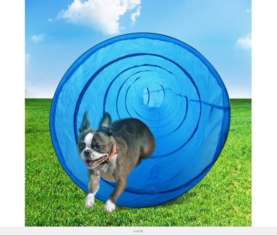 YES4PETS Portable Pet Dog Agility Training Exercise Cat Tunnel Chute with Carry Bag 5.5M - DogsDomain.com.au