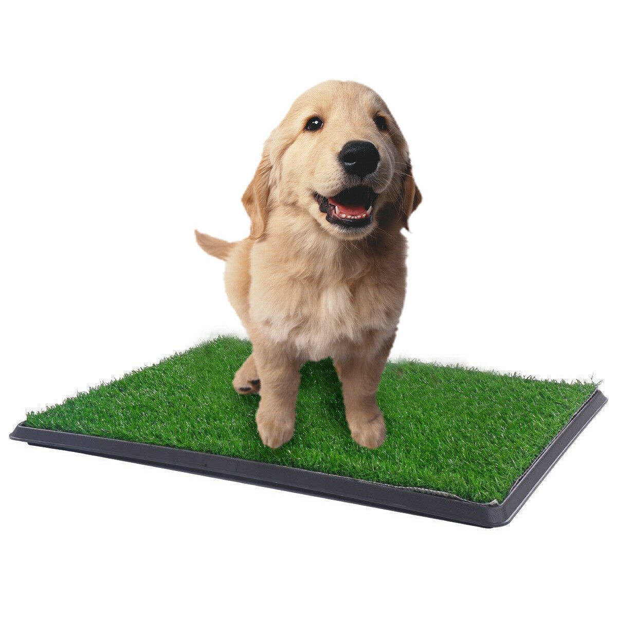 YES4PETS XL Indoor Dog Puppy Toilet Grass Training Mat Loo Pad Potty W 2 Grass - DogsDomain.com.au