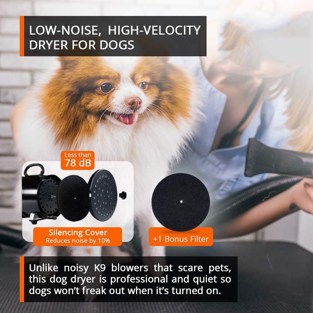 2800W Dog Dryer High Velocity Pet Dog Pet Blow Dryer Adjustable Speed 4 Nozzles - DogsDomain.com.au