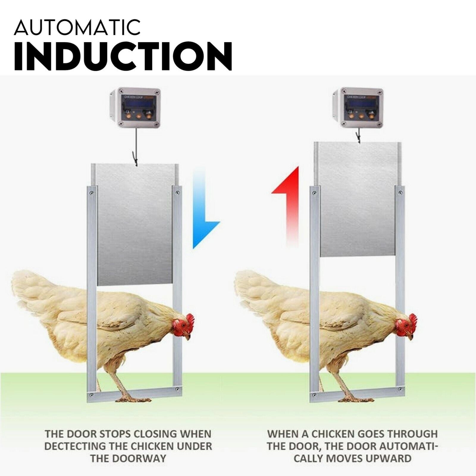 Chicken Coop Door with Digital LCD Screen to manage Timer and Sensor - DogsDomain.com.au