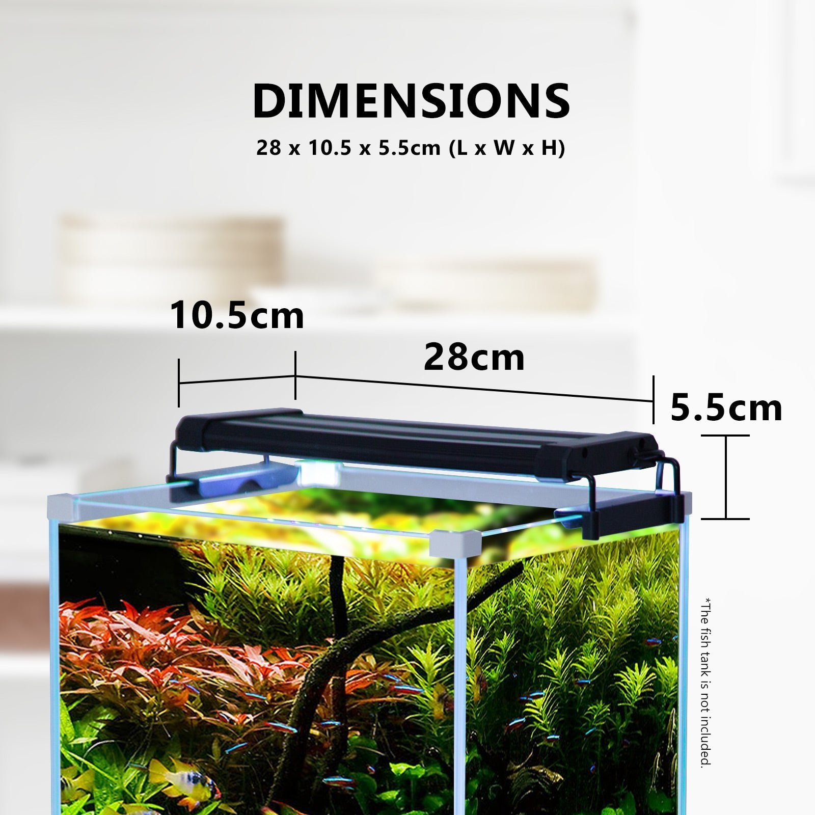 Dynamic Power 6W Aquarium Blue White LED Light for Tank 30-50cm - DogsDomain.com.au