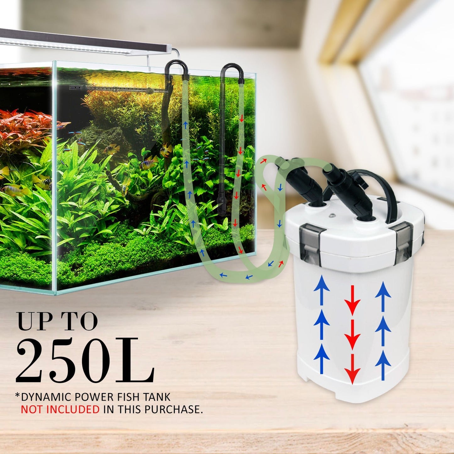 Dynamic Power Aquarium External Canister Filter 1000L/H - DogsDomain.com.au