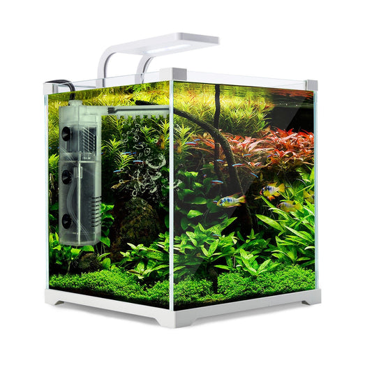 Dynamic Power Aquarium Fish Tank 16L Starfire Glass - DogsDomain.com.au
