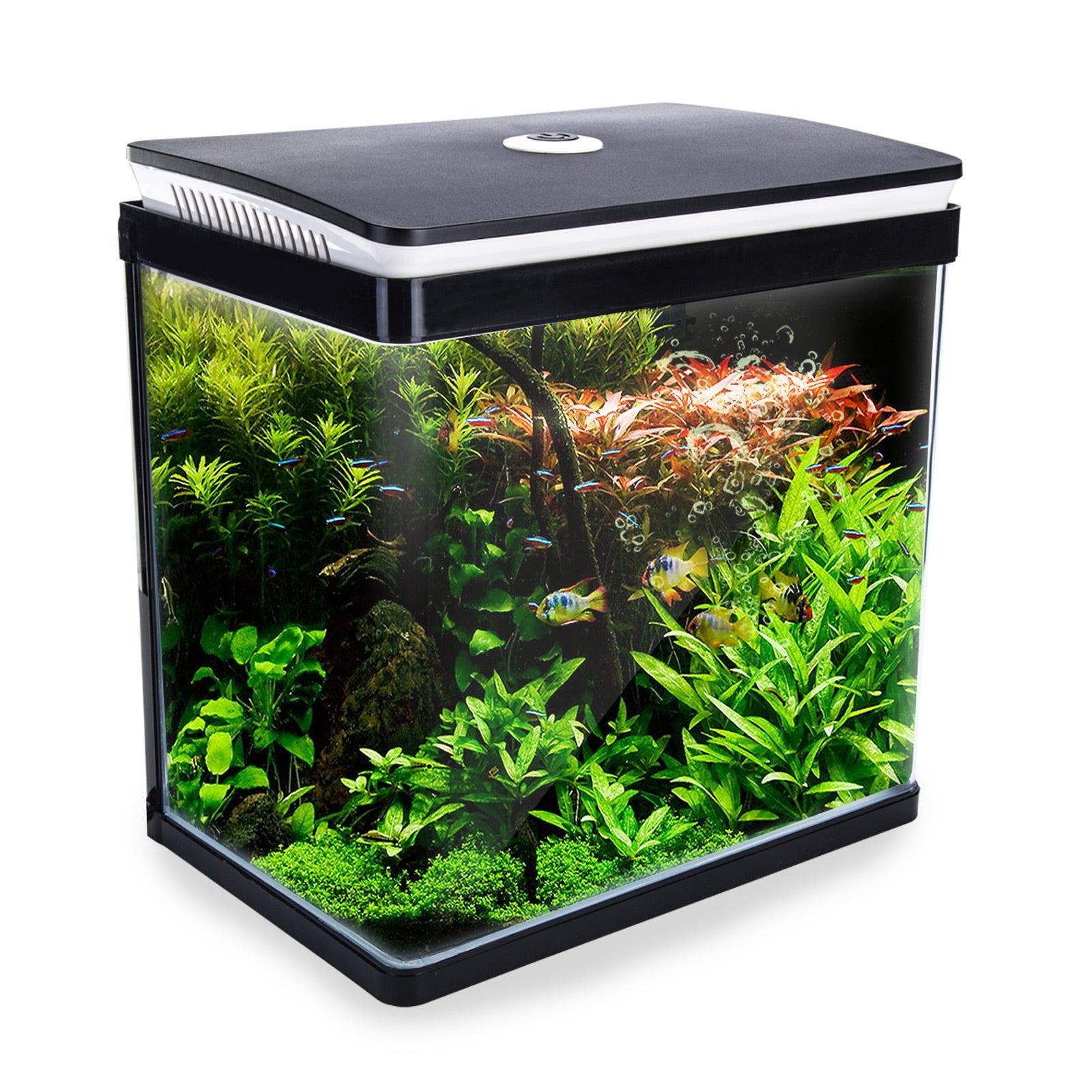 Dynamic Power Aquarium Fish Tank 30L Curved Glass RGB LED - DogsDomain.com.au
