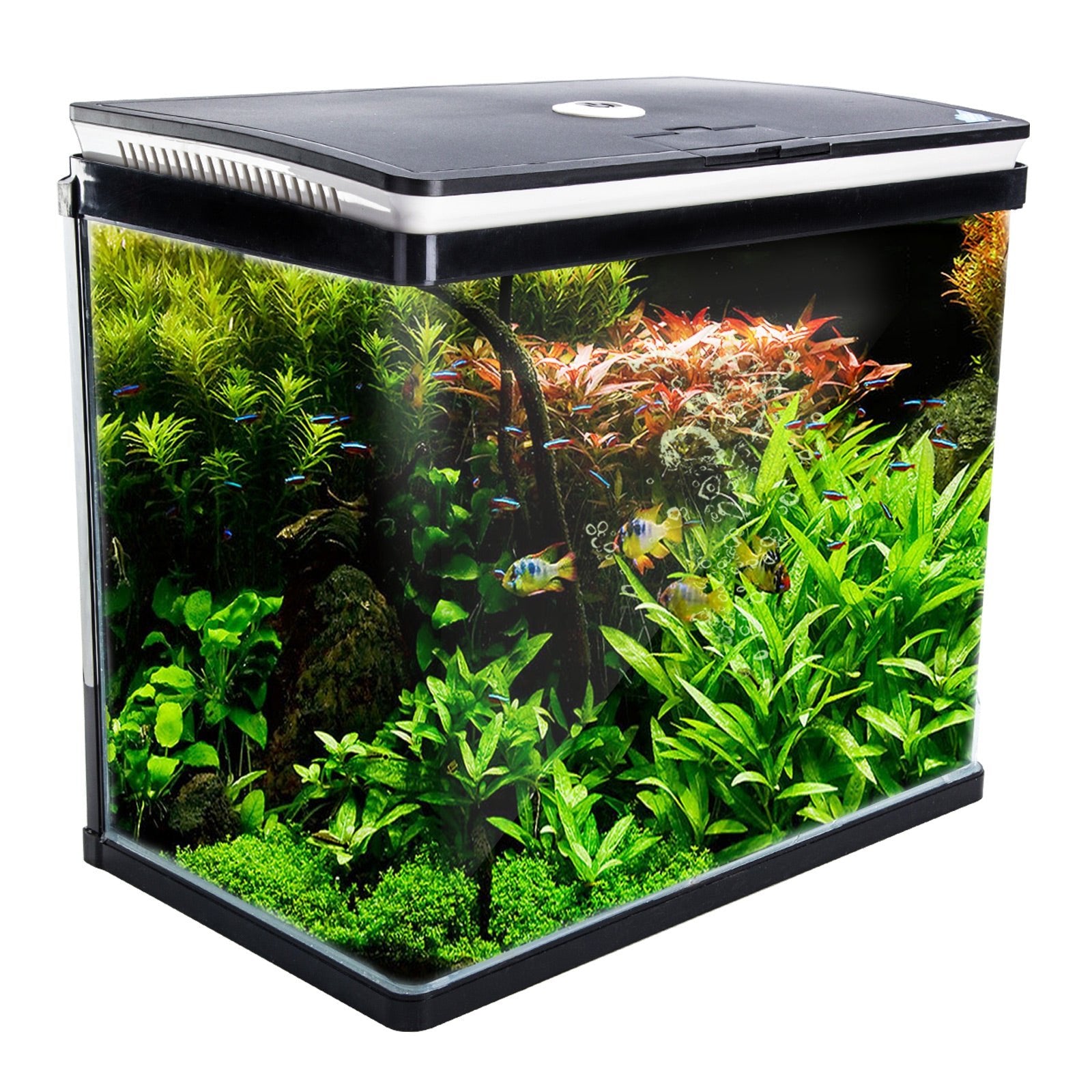 Dynamic Power Aquarium Fish Tank 52L Curved Glass RGB LED - DogsDomain.com.au