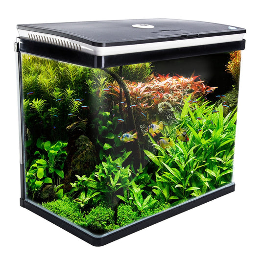 Dynamic Power Aquarium Fish Tank 52L Curved Glass RGB LED - DogsDomain.com.au