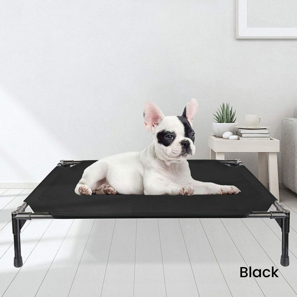 Floofi Elevated Pet Bed (M Black) FI-PB-264-QQQ - DogsDomain.com.au