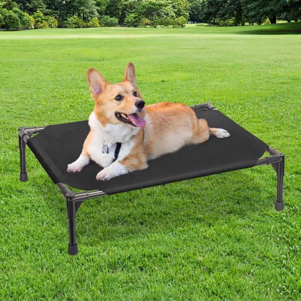 Floofi Elevated Pet Bed (M Black) FI-PB-264-QQQ - DogsDomain.com.au